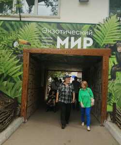 IMG 20230710 WA0017 copy copy