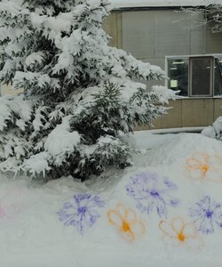 IMG 20231214 134430 015