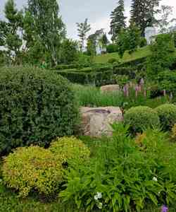 КОНЦЕРТ 08.07 4