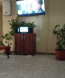 Кинотерапия 1