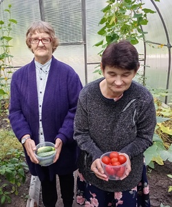 сбор урожая 1