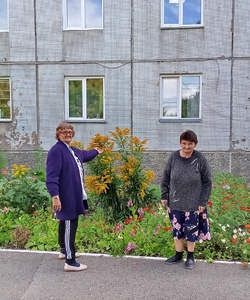 сбор урожая 3