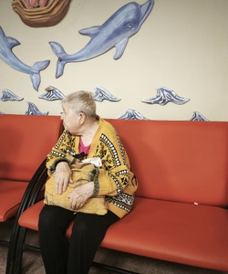 Внуки по переписке 1