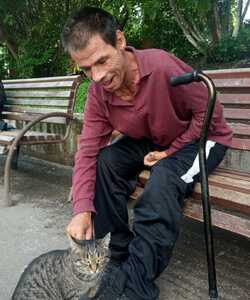 Летние денечки 2