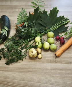 Осеннее творчество 1