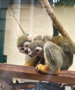 Прогулка в Роев ручей 4