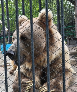 Прогулка в Роев ручей 5