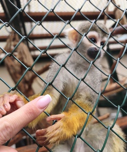 Прогулка в Роев ручей 6