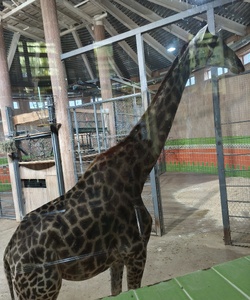 Прогулка в Роев ручей 7