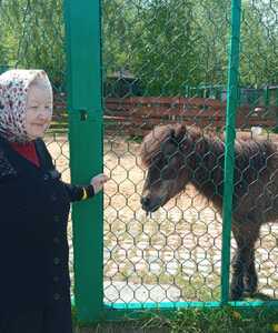 Экскурсия в мир животных 3
