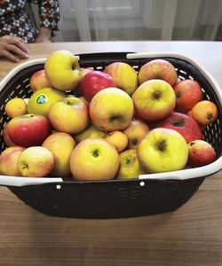 Яблочный Спас 2