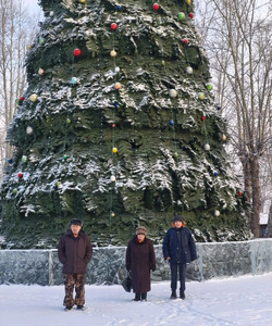 ёлки Красноярска 3