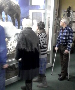 Краеведческий музей 2016 2