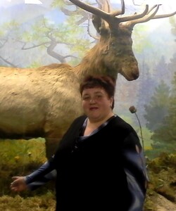 Краеведческий музей 2016 4