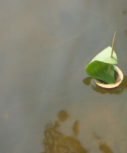 поездка на природу 2