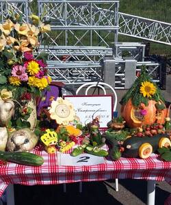 Спорт, дружба, урожай