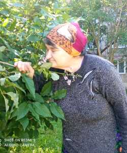 День радости 3