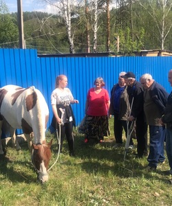 Посещение конного клуба Каприоль 4