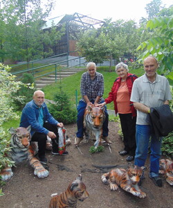 Полосатый рейс