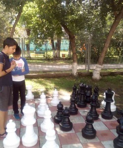 Раздумия над стратегией игры