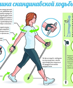 Техника скандинавской ходьбы copy