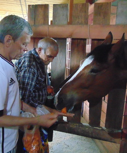 Ах какая сладкая морковка