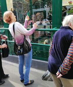 За стекломjpg