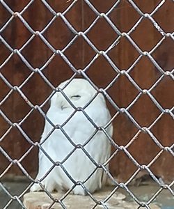 20210819 104848 copy copy copy